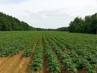 農林水産業界の就職偏差値ランキング